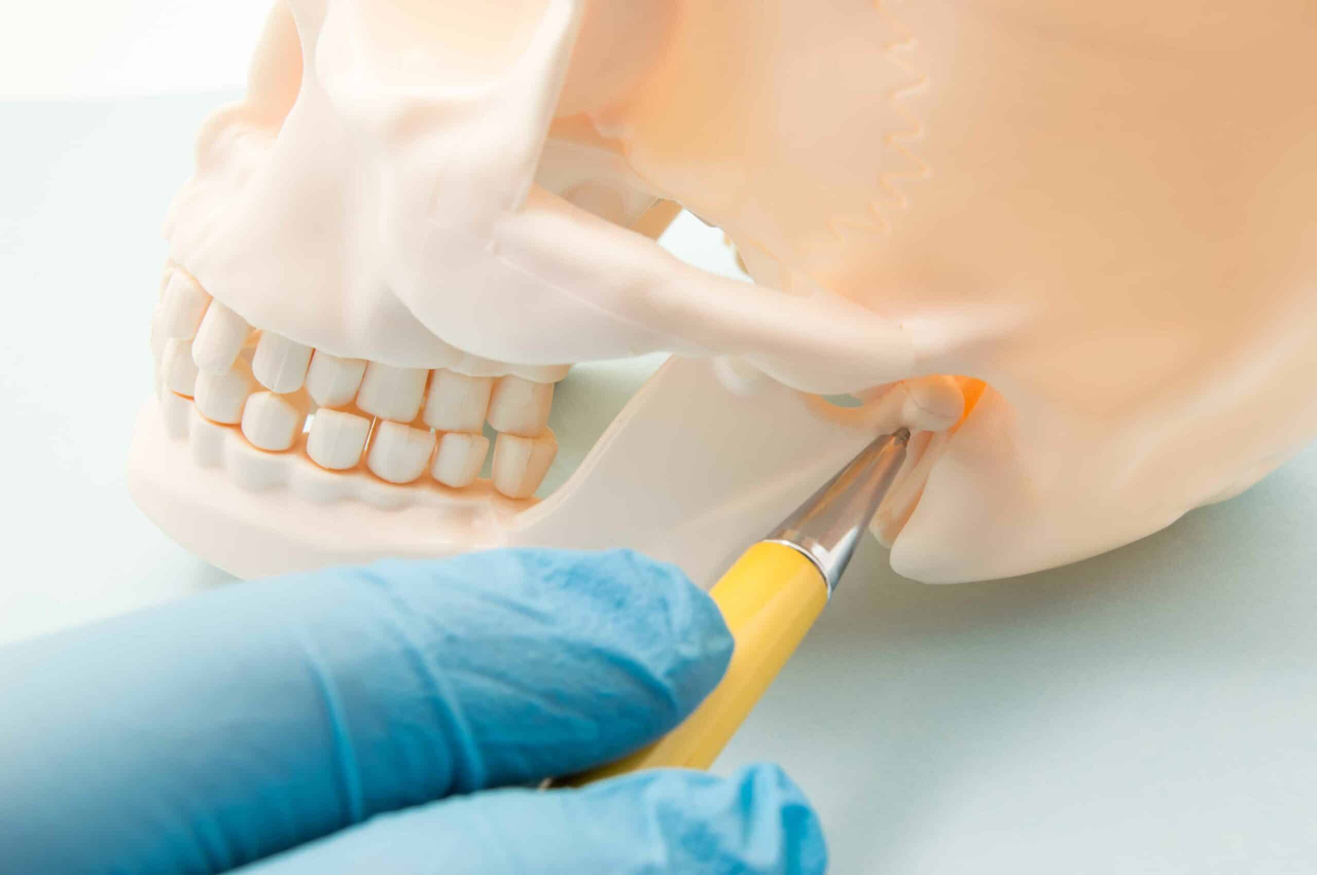 The Jaw & Facial Pain